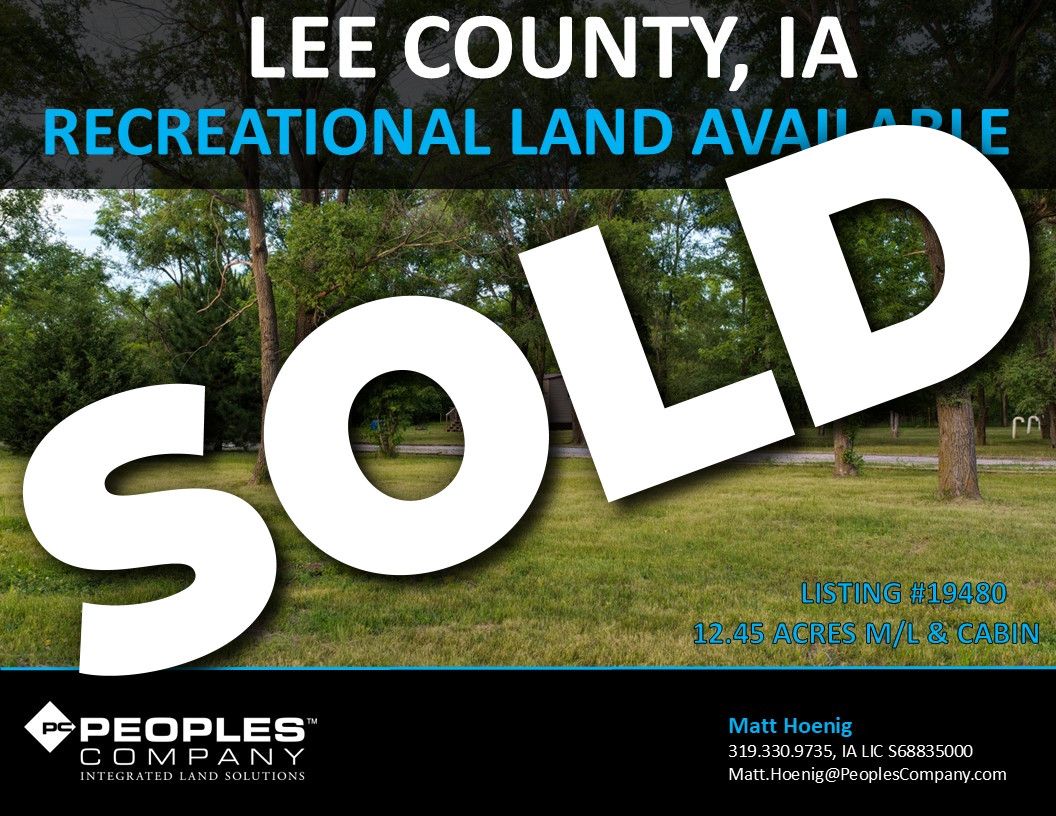 Listing #19480